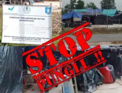 Oknum Warga Diduga Lakukan Pungli Terhadap Camp Liar Di Kawasan Hutan Berbura