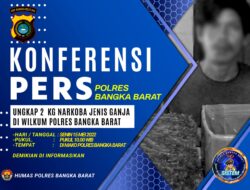 Kasus 2 KG Ganja akan di gelar Konferensi Pers Polres Bangka Barat Esok Hari