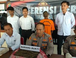 Konferensi Pers Narkotika, Polres Bangka Barat Sita 2 Kg Ganja