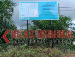 Tanaman Sawit Terhampar Di kawasan Taman Nasional Gunung Maras 